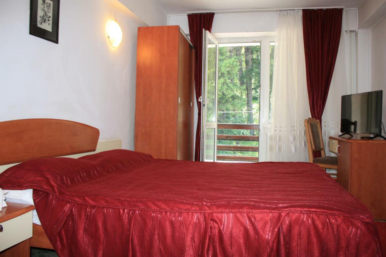 Vila Mihail Hotell Buşteni Eksteriør bilde